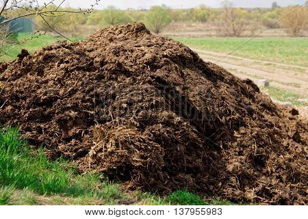 Pile of manure, great fertilizer, countryside shot