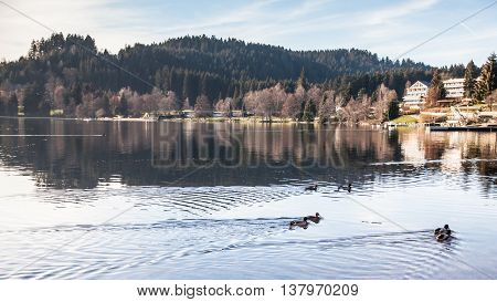 Holiday in Germany - Lake Titisee, Black Forest