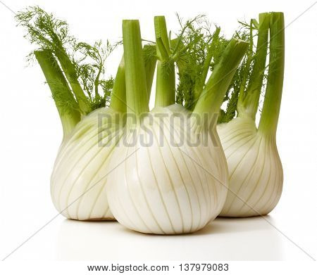 Fresh fennel bulb isolated on white background close up