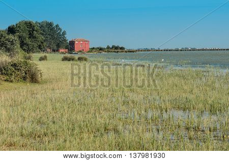 Wetlands in the Kizilirmak delta Black Sea Province of Turkey