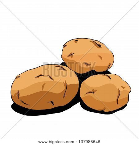 Set illustration of vegetables for supermarkets and other. Potatoes