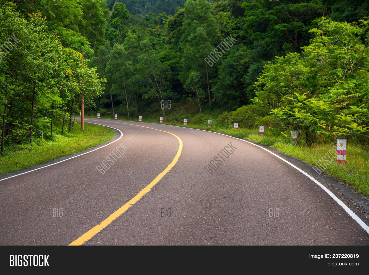 Auto path