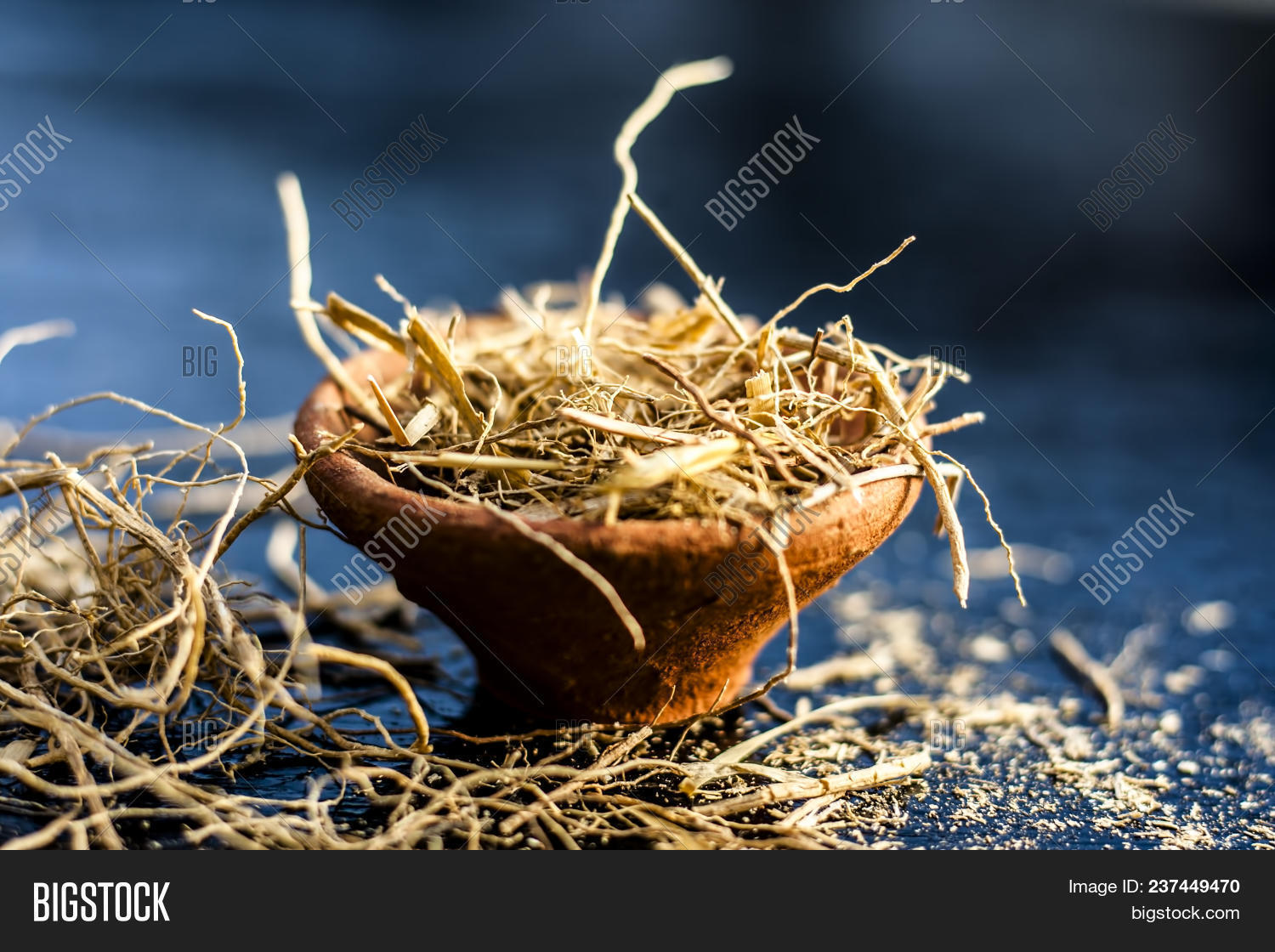 Dried Vetiver Grass Image & Photo (Free Trial) Bigstock