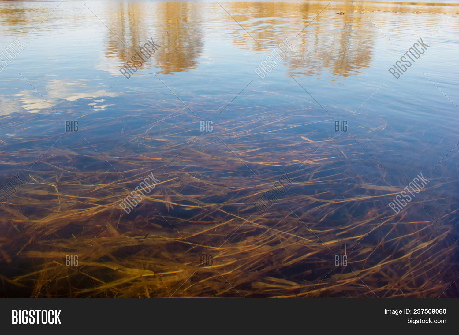 Smooth Water Surface Image & Photo (Free Trial) Bigstock