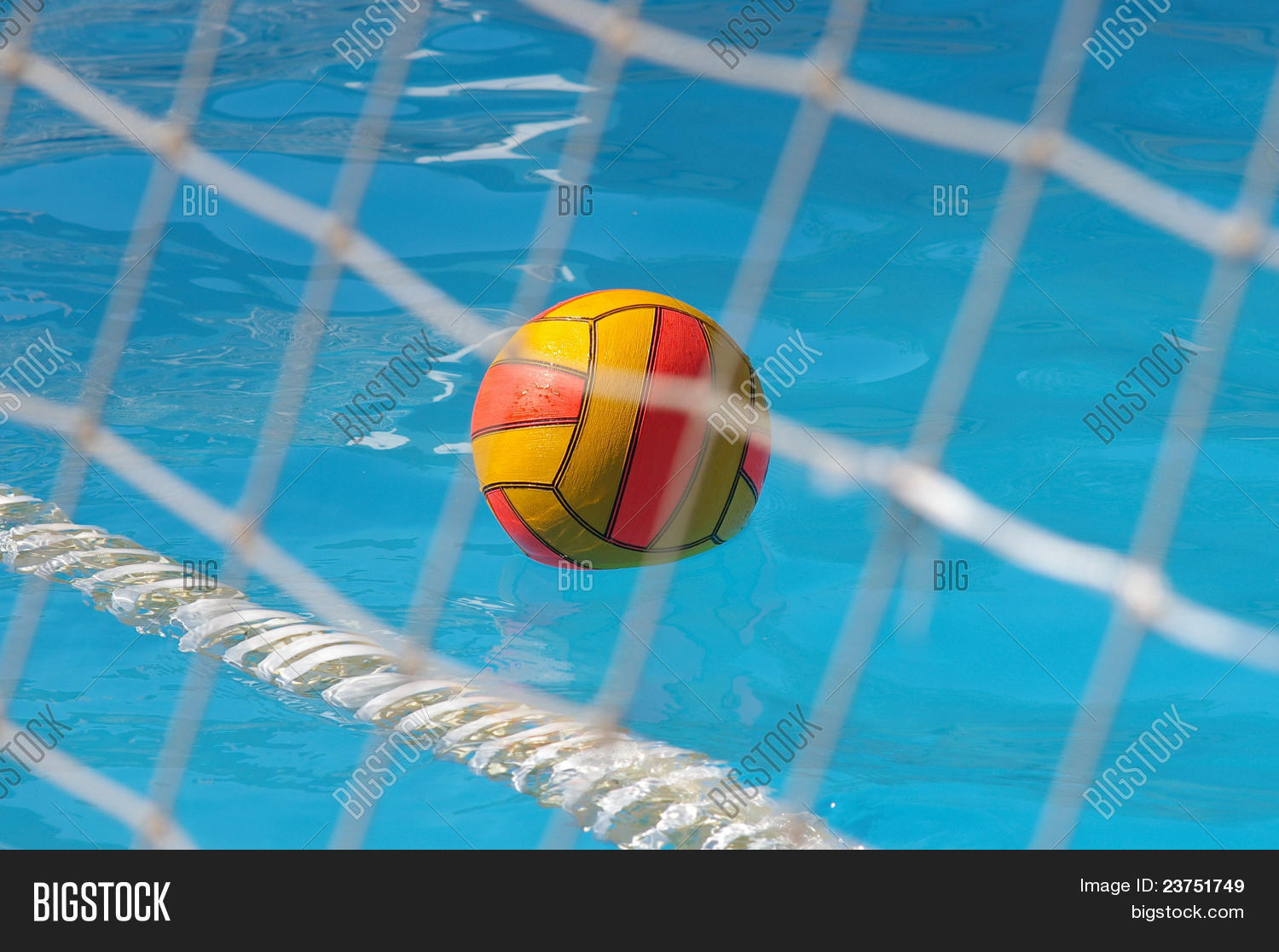 Water Polo Ball Image & Photo (Free Trial) Bigstock