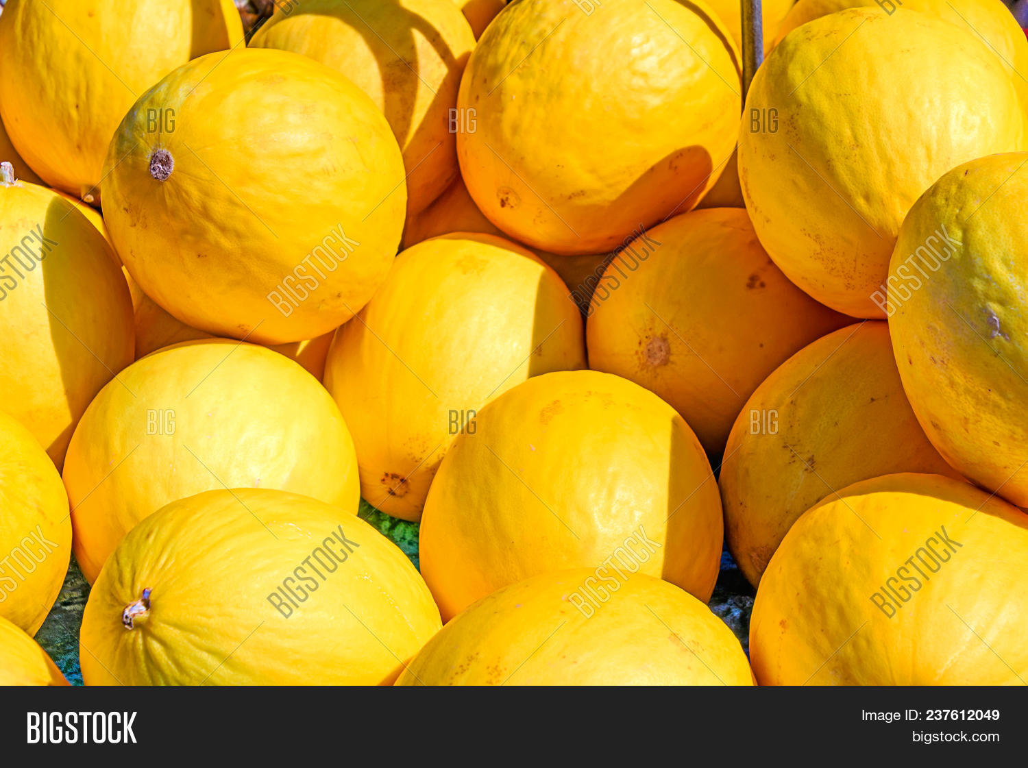 Melo Melo Melon Pan