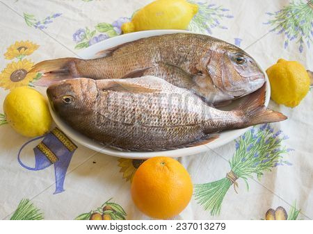 Pair Of Fresh Raw Dentex In A Pyrex Dish