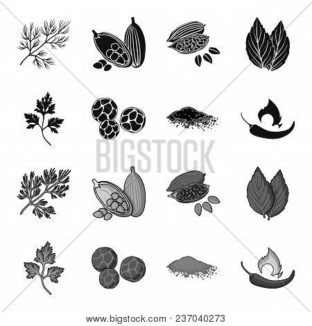 Ptrushka, Black Pepper, Paprika, Chili.herbs And Spices Set Collection Icons In Black, Monochrome St