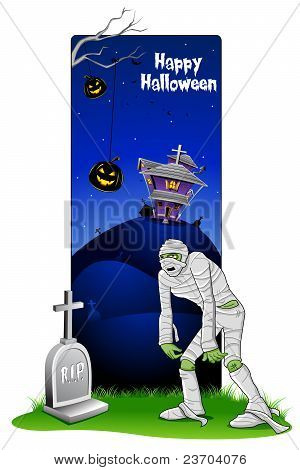 จากศพมัมมี่