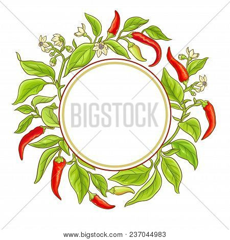 Cayenne Pepper Vector Frame On White Backgronud