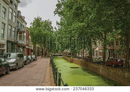 Gouda, Southern Netherlands - June 29, 2017. Walled Canal With Aquatic Greenish Plants, Trees And Bu
