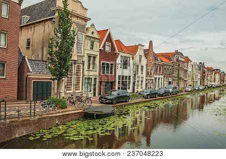 Gouda, Southern Netherlands - June 29, 2017. Long Canal With Aquatic Plants, Brick Houses On Its Ban