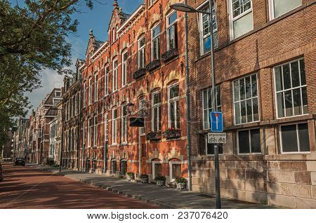 Empty Street With Semidetached Brick Houses, Shade Of Trees At Sunset And Blue Sky In S-hertogenbosc