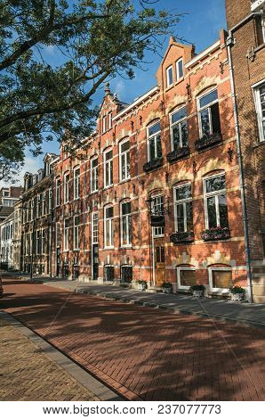 Empty Street With Semidetached Brick Houses, Shade Of Trees At Sunset And Blue Sky In S-hertogenbosc