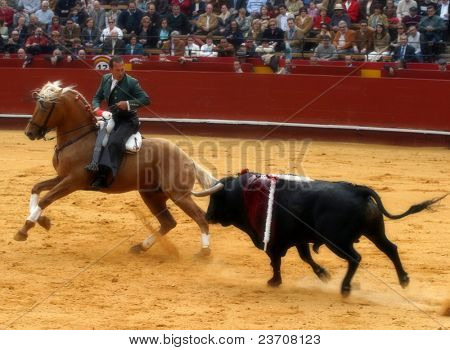 corrida