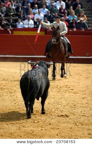 corrida