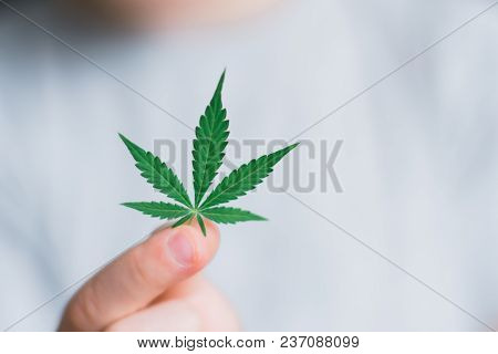 Smiling Kid Child Holding A Hemp Leaf. Concepts Of Using Marihuna For Medicinal Purposes For Childre