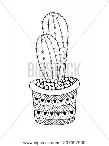 Echinocactus Grusonil Cactus For Adult Coloring. Vector Illustration.