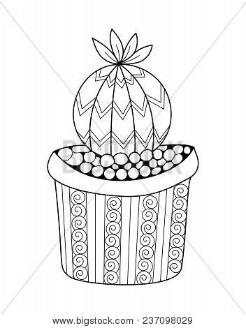 Melocactus Amoenus Cactus For Adult Coloring Book. Vector Stock.
