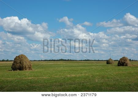 Trzy stogu siana na łące
