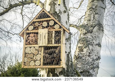 Insect House In The Garden, Protection For Insects, Insecten Hotel.