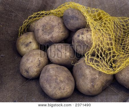 The Potatoes