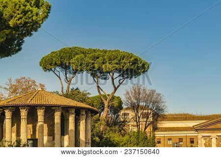 Hercules Temple, Rome, Italy