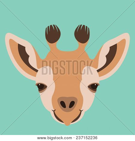 Giraffe Head With Black Contour. African Beautiful Giraffe Isolated On White Background. Colorful Ve