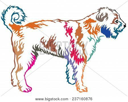 Colorful Contour Decorative Portrait Of Standing In Profile Lagotto Romagnolo, Vector Isolated Illus