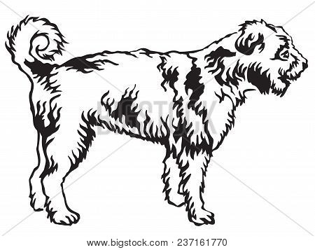 Decorative Portrait Of Standing In Profile Lagotto Romagnolo, Vector Isolated Illustration In Black 