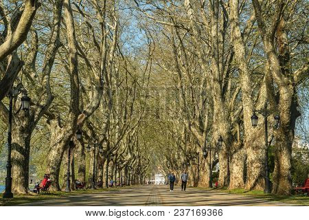 Ponte De Lima, Portugal - Circa April 2018:  Tree Lined Walk Along The Lima River At Alameda Dos Pla