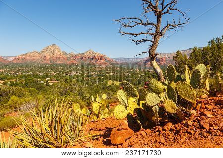 The Natural Beauty Of The Red Rock Canyons And Sandstone Of Sedona In Arizona. In The Valley Of The 