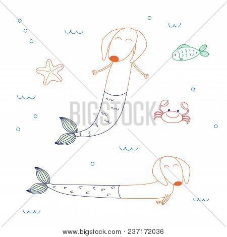Hand Drawn Vector Illustration Of Cute Dachshund Mermaids, With Starfish, Fish And Crab, Swimming In