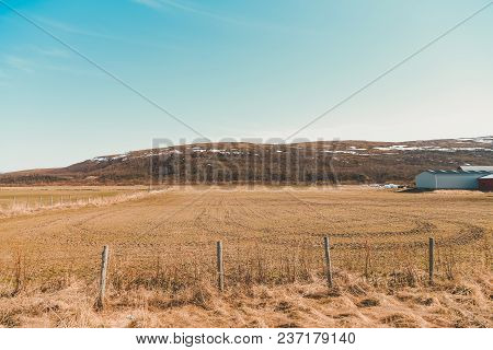 Field In Northern Norway On A Sunny Day