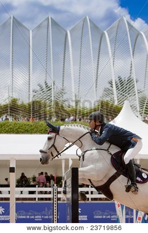 Valencia, Spanien kann 8: Fahrer Vleuten, Pferd Groep Cannerlina, Nederlands der globalen Meister-t