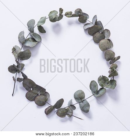 leaves with light grey background. Minimal style design with plants. Abstract background