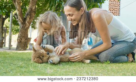 Mother And Child Playing With Puppy On A Warm Summer Day Outdoor. Happy Family Stroking And Having F