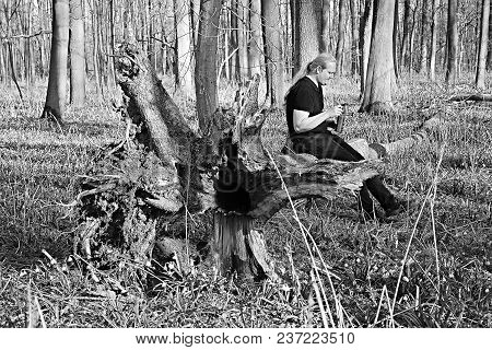 Pisty, Czech Republic - April 07, 2018: Spring Afternon In Forest With Man Drinking Coffee On Fallen