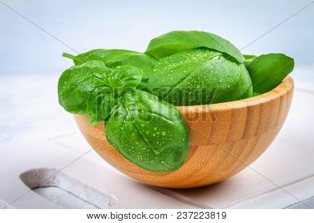 Green Fresh Homemade Basil, Spicy Herb In A Wooden Bowl