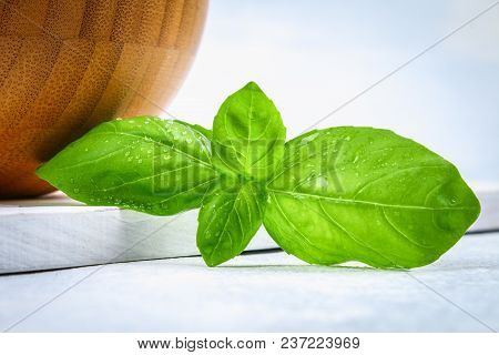 Green Fresh Homemade Basil, Spicy Herb In A Wooden Bowl
