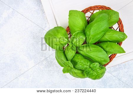 Green Home Basil, Spicy Herb In A Basket