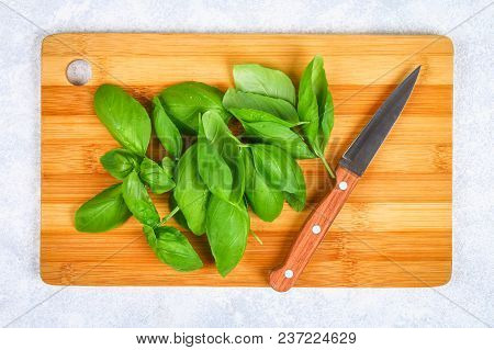 Green Fresh Home Basil, Spicy Herb On A Cutting Board With A Knife On A Gray Concrete Table