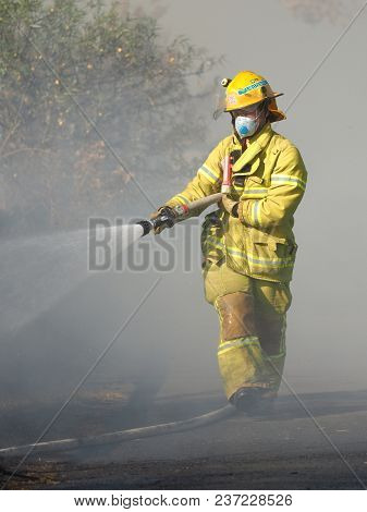 Melbourne, Australia - April 13, 2018: Fire Fighter Spraying Water On A Bush Fire In An Suburban Are