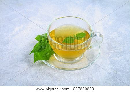 Leaves Of Fresh Green Nettle And A Clear Glass Cup Of Herbal Nettle Tea On A Gray Concrete Table