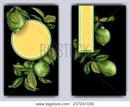 Banner Template With Citrus Branches  Of Lime Tree. Black Bacjground With Citrus Color Frames Of Sha