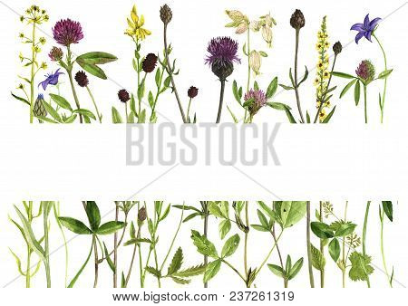 Template With Watercolor Drawing Palnts And Flowers, Hand Drawn Illustration