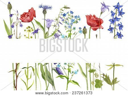 Template With Watercolor Drawing Palnts And Flowers, Hand Drawn Illustration
