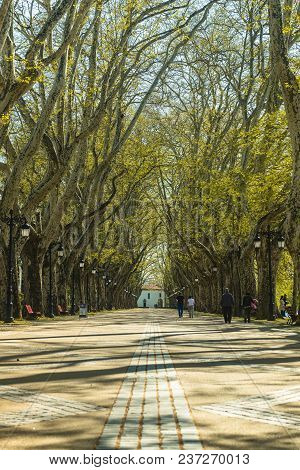 Ponte De Lima, Portugal - Circa April 2018:  Tree Lined Walk Along The Lima River At Alameda Dos Pla