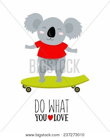 Vector Illustration Of Koala On A Scateboard With Motivational Quote «do What You Love»