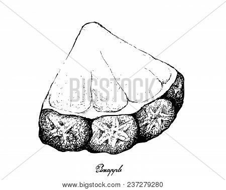 Fresh Fruits, Illustration Of Hand Drawn Sketch Delicious Fresh Yellow Pineapple Or Ananas Comosus F